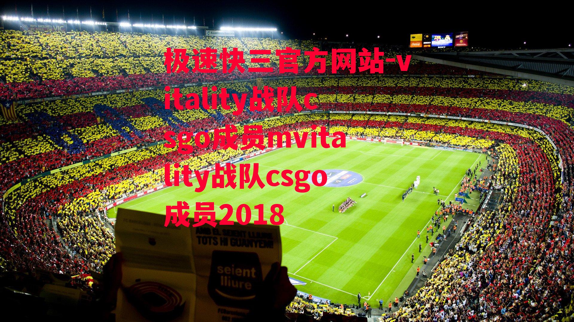 vitality战队csgo成员mvitality战队csgo成员2018