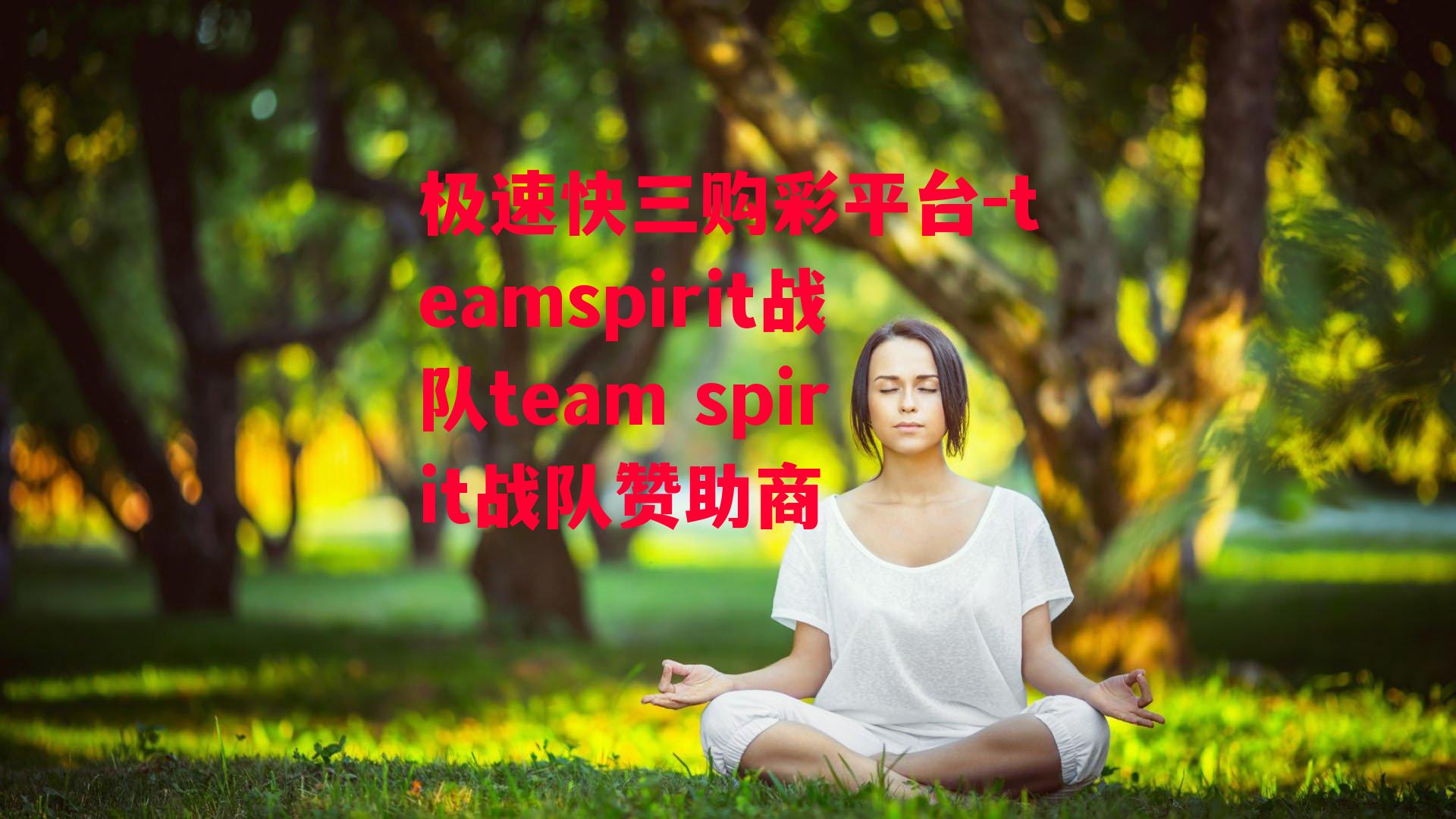 teamspirit战队team spirit战队赞助商